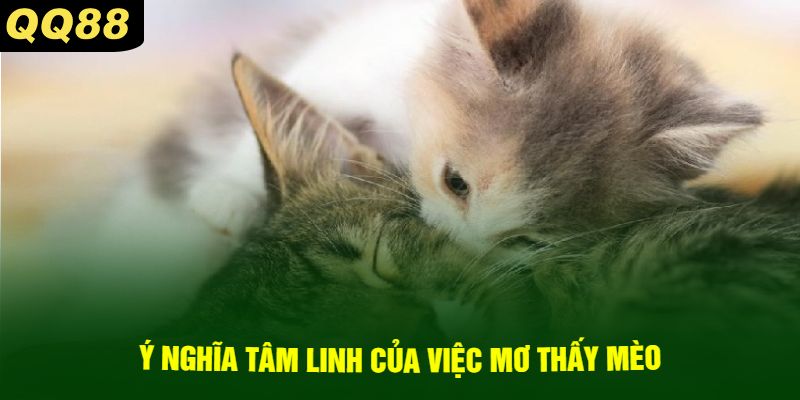 Ý nghĩa tâm linh của việc mơ thấy mèo